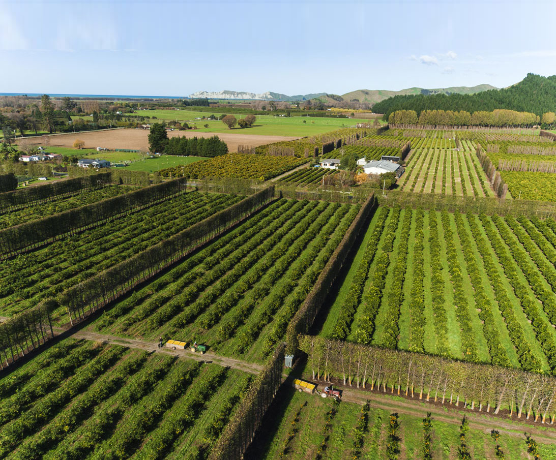 Tipu project to boost horticulture